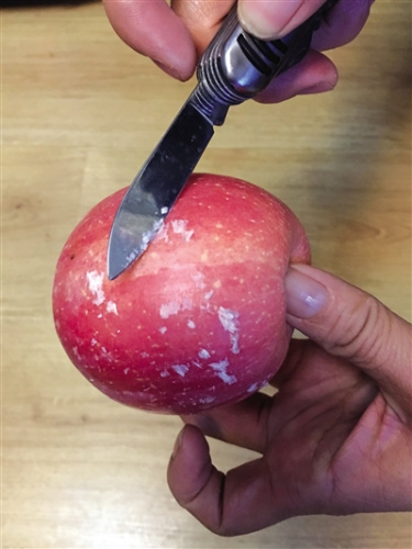 水果打蜡致癌?专家:食用蜡无毒但工业蜡有毒