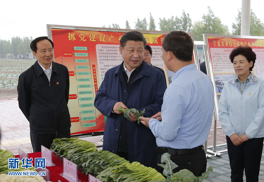 7月18日至20日，中共中央总书记、国家主席、中央军委主席习近平在宁夏调研考察。这是7月18日下午，习近平在固原市原州区彭堡镇姚磨村了解冷凉蔬菜种植销售情况。新华社记者鞠鹏摄