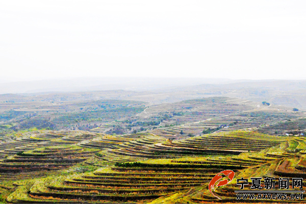 彭阳县人口_彭阳 一城山水满眼景