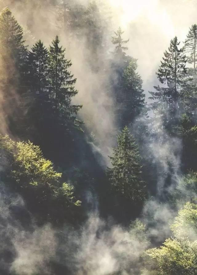 王维最美的20首诗:诗中有画,句句皆禅