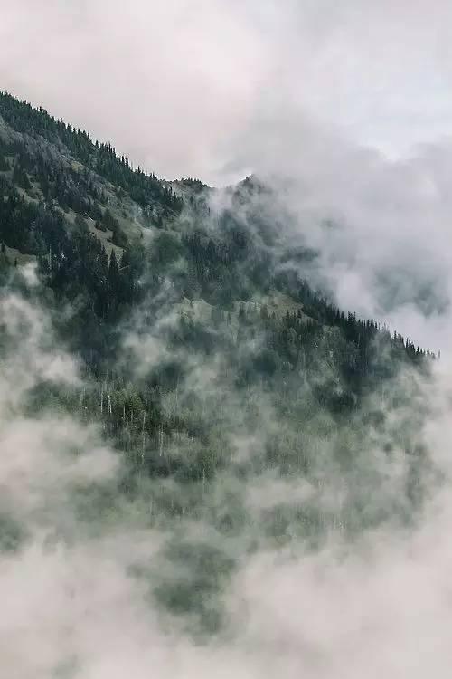 王维最美的20首诗:诗中有画,句句皆禅