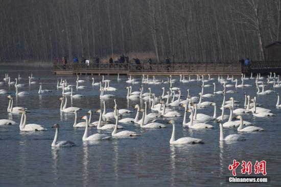 半岛体育app环保部：中国自然保护区数量、面积已达较高水平(图2)