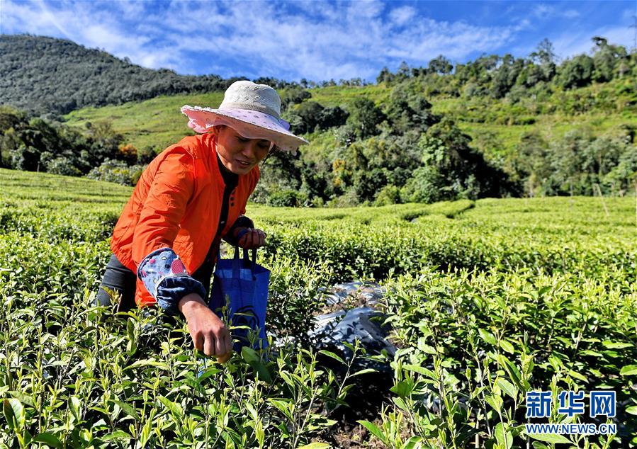 小康路上不掉队—西藏脱贫攻坚战一线观察-新华网