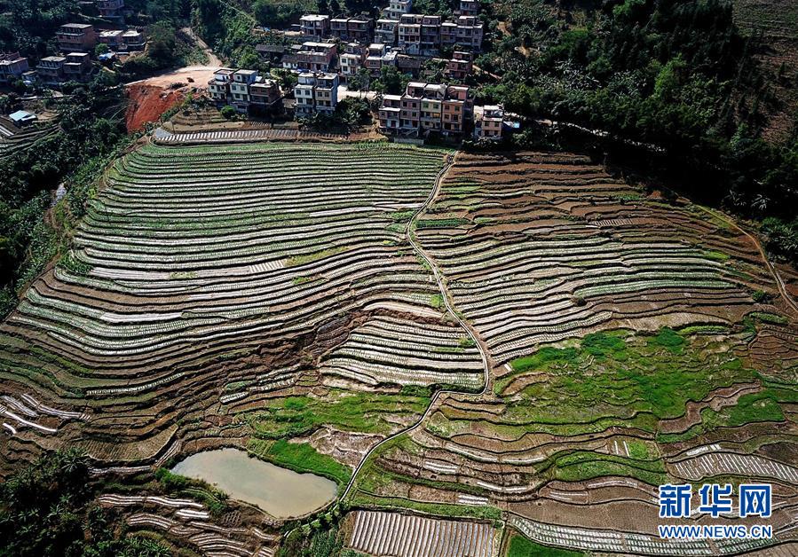 （春季美丽生态）（2）飞阅边关山田春景