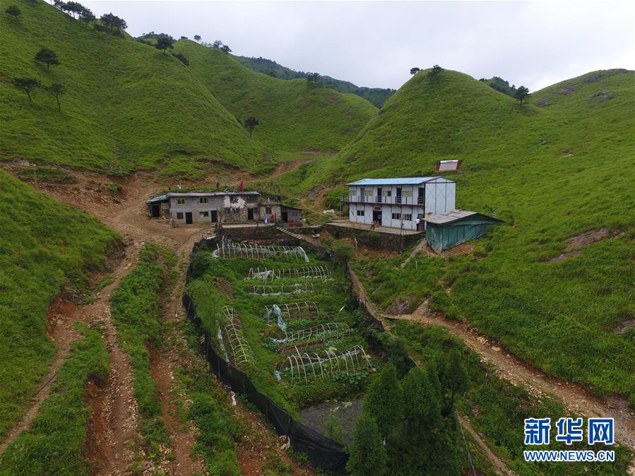 （新华全媒头条·图文互动）（3）一个人，一座山——刘真茂的生命守望