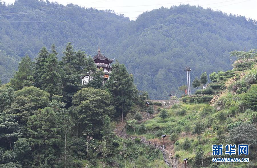 （新华全媒头条·图文互动）（3）“下党故事”揭示反贫困中国密码