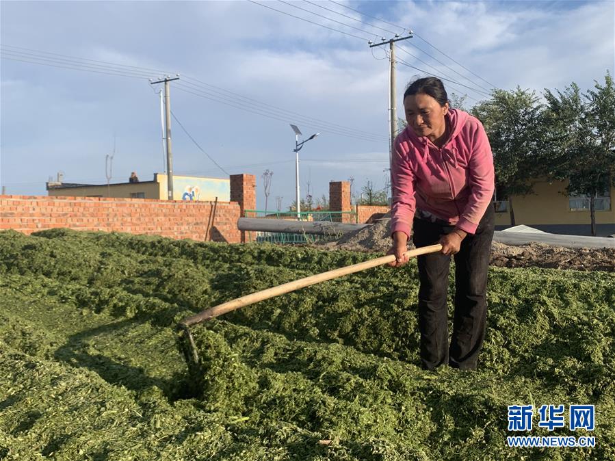 （图文互动）（2）新疆多措推进草原畜牧业转型升级