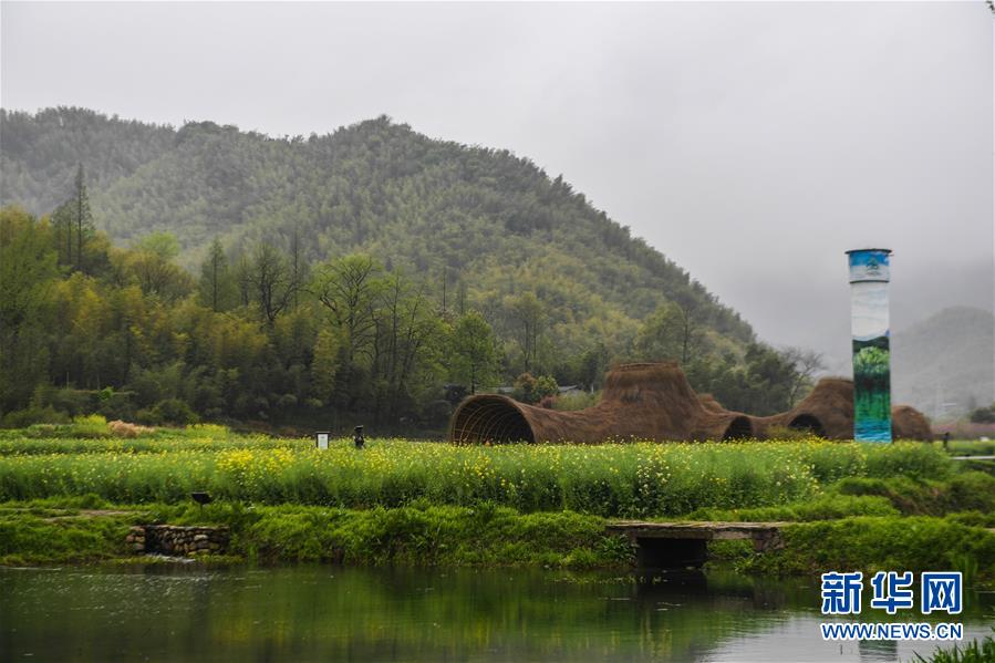 （新華全媒頭條·圖文互動(dòng)）（2）生態(tài)文明之光照耀美麗中國——寫在綠水青山就是金山銀山理念提出15周年之際