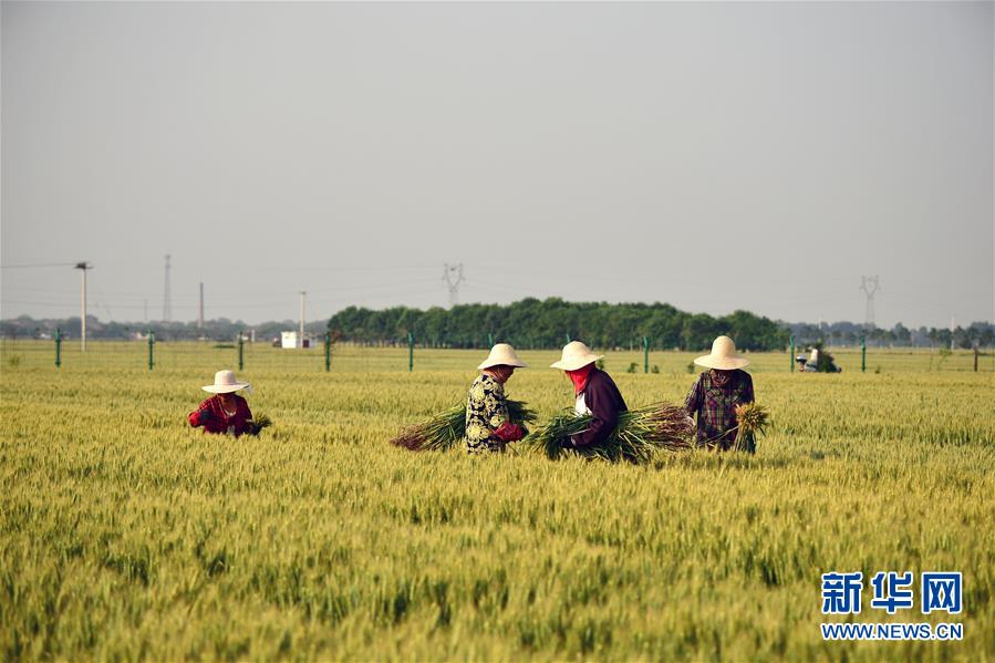 （新華全媒頭條·迎接兩會(huì)特別報(bào)道·圖文互動(dòng)）（1）不同尋常的兩會(huì) 萬(wàn)眾一心的力量——寫在2020年全國(guó)兩會(huì)召開之際