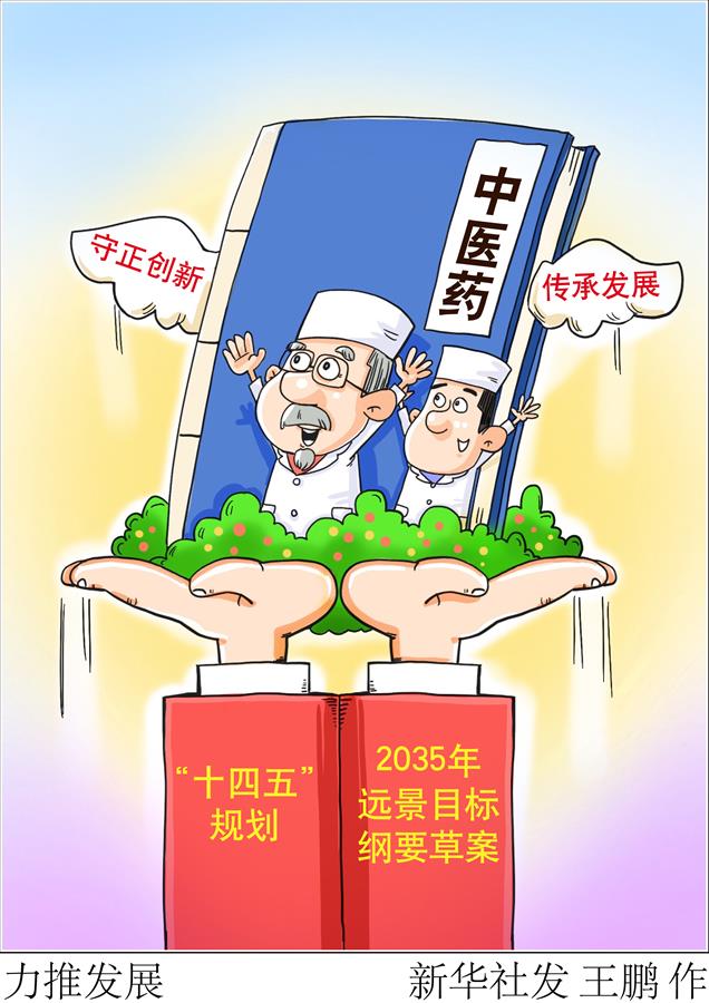 （图表·漫画）［两会新华时评］力推发展