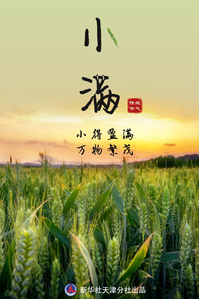 5月21日3时37分小满麦穗初齐桑叶正肥