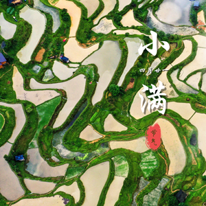 微信分享图