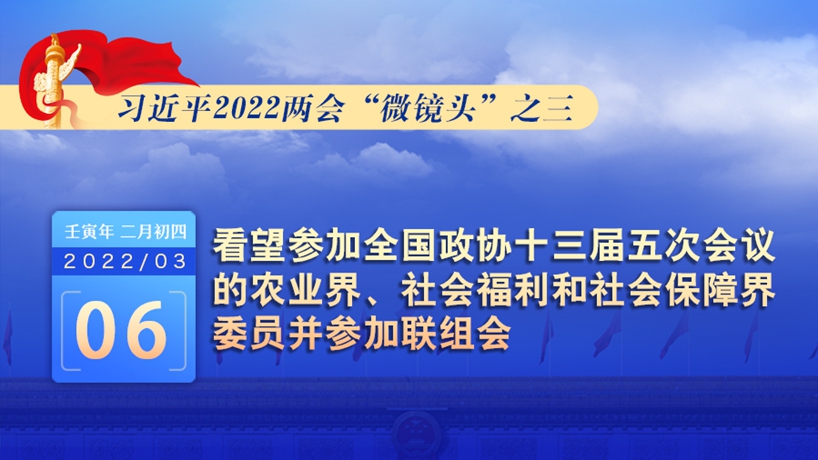 习近平2022两会“微镜头”：看望政协委员并参加联组会