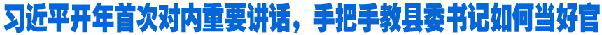 习近平开年首次对内重要讲话，手把手教县委书记如何当好官