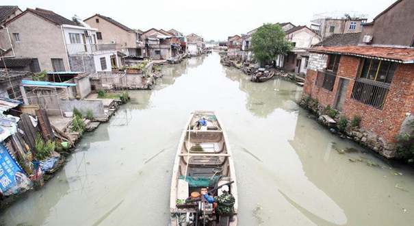 浙江绍兴市区河道现"牛奶河"