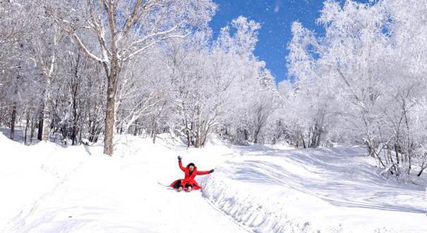 霸王级寒潮持续发威 全国多地进入白雪模式