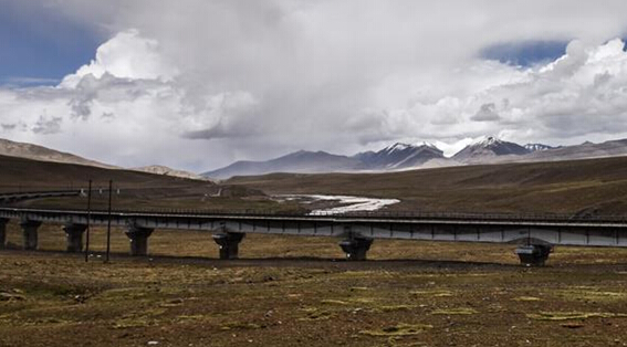 青藏铁路：“高原净土”上的绿色穿行
