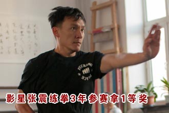 "高帅富"也爱练国粹 张震练拳3年参赛斩获1等奖