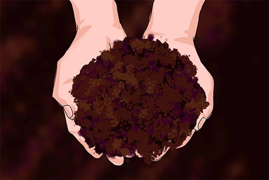 土壤的颜色——四川紫色土