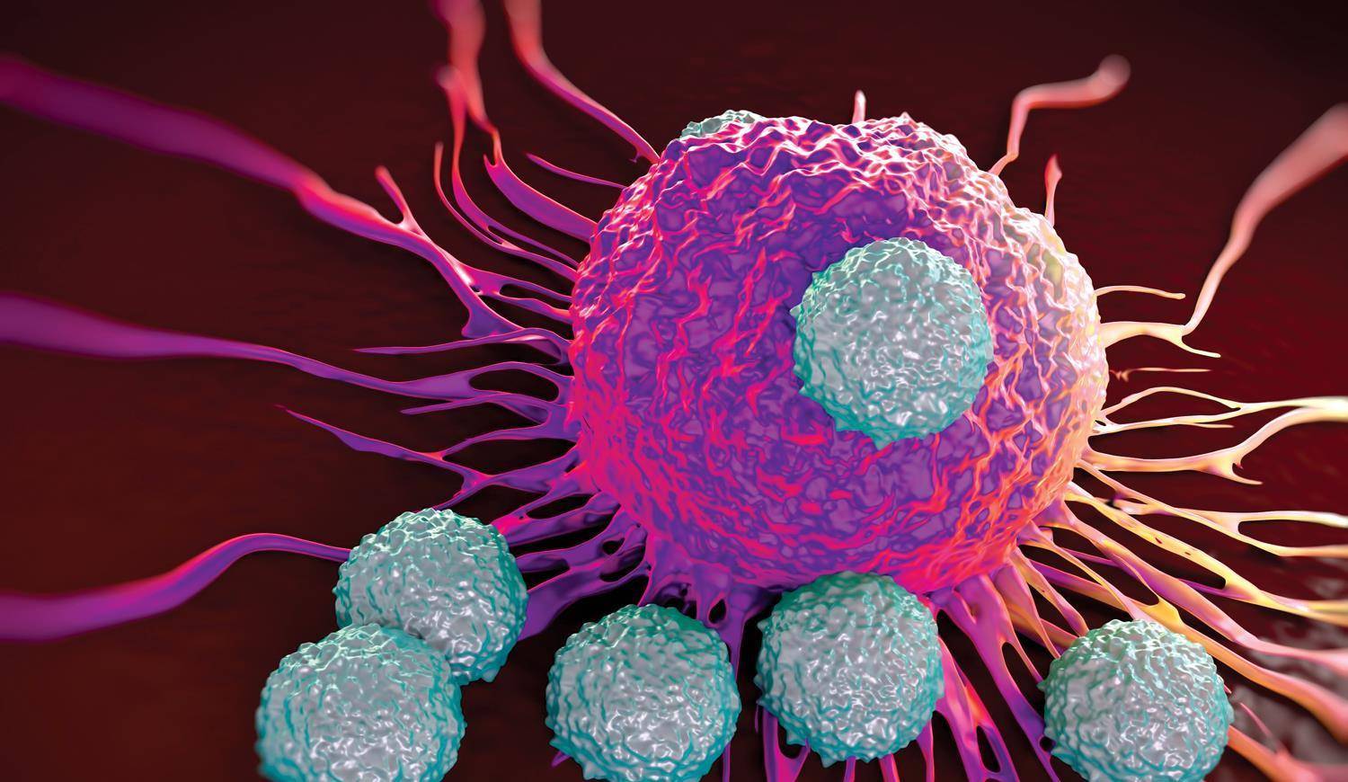 美国怀特黑德研究所开发出可追踪几代癌细胞的新方法