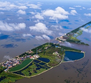 兴凯湖湿地