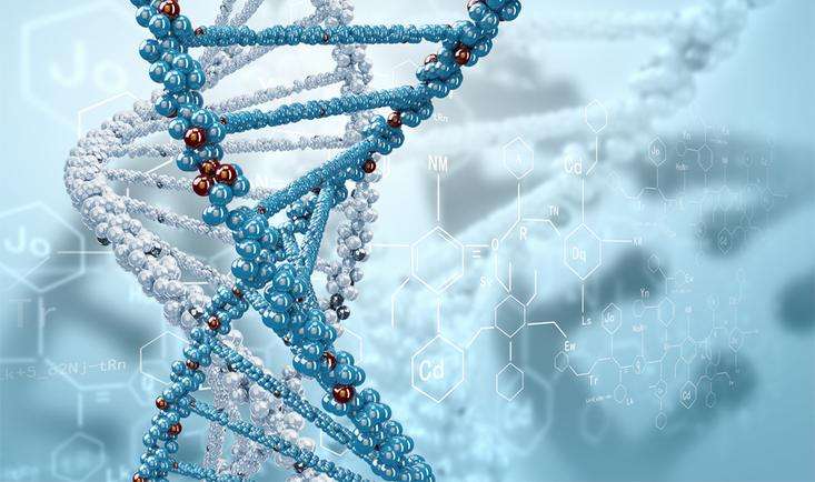 高中体育教案范文大全_高中生物教案范文_高中语文备课教案范文