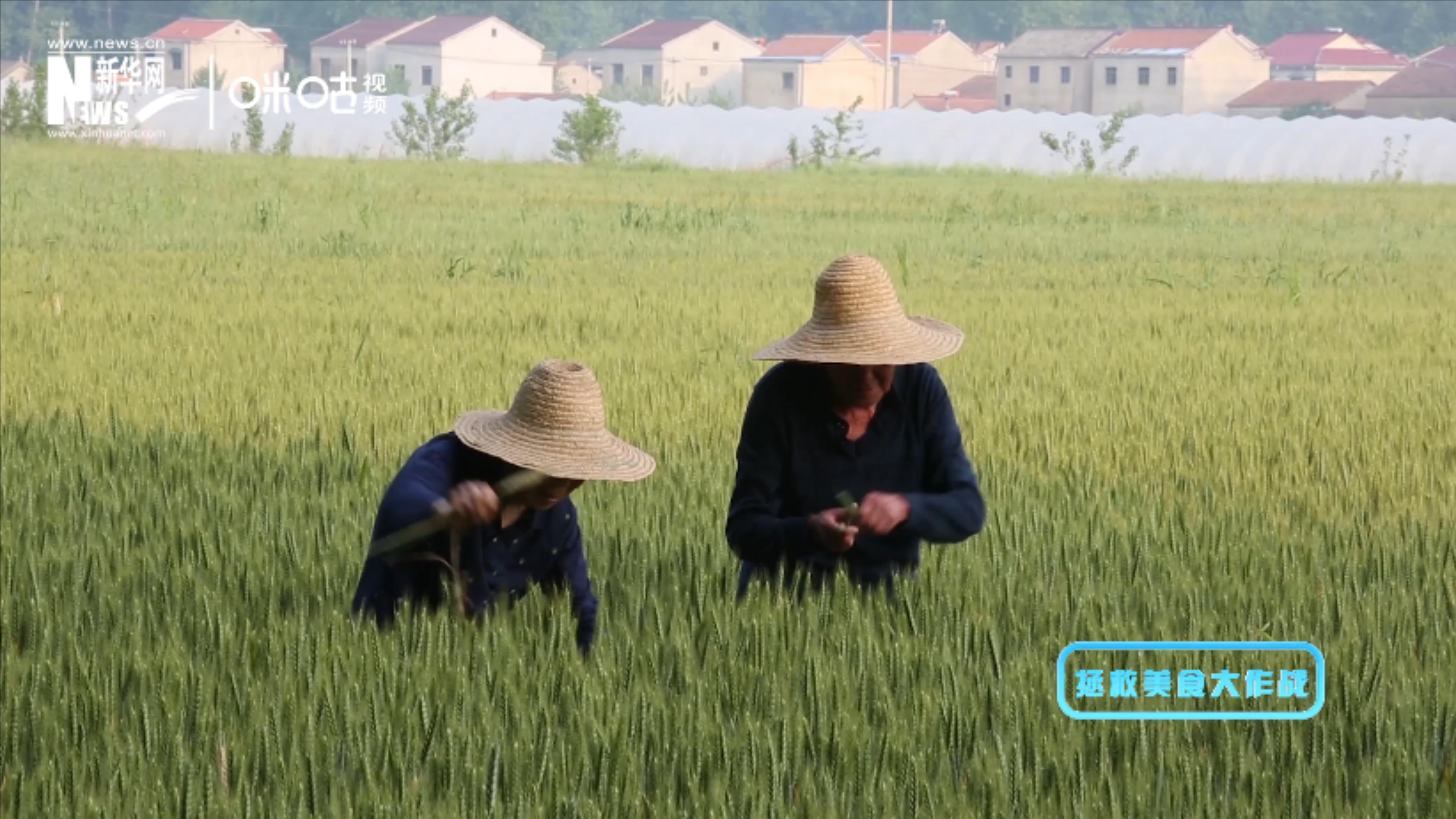 被浪费的不止是食物本身，还有生产粮食的资源、金钱和劳动力