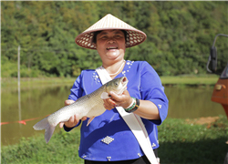 乡村旅游