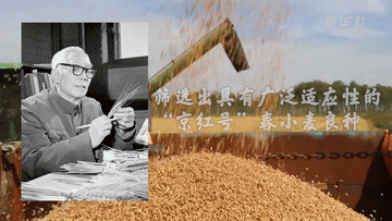 丰收时节，致敬&ldquo;把论文写在大地上&rdquo;的他们