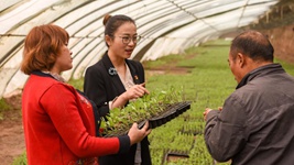 青春,在一线绽放芳华——“最美基层高校毕业生”速写