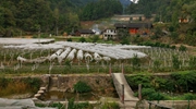 记者驻村笔记:复兴村的兴旺事儿