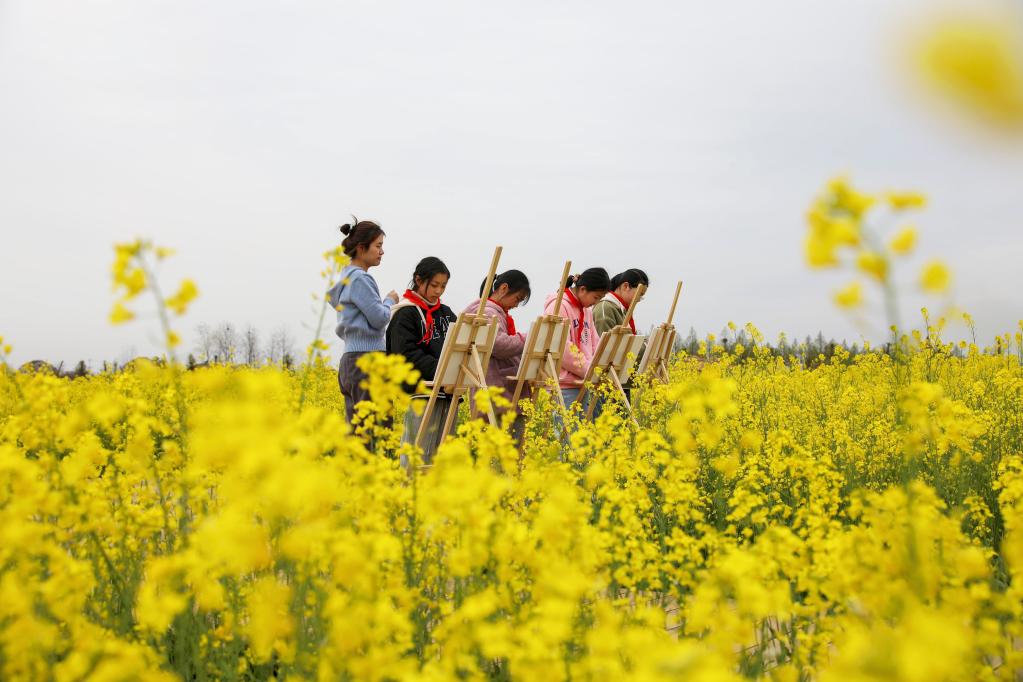 油菜花开乡村美