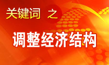 張平：轉變經濟發展方式最重要的是要調整經濟結構