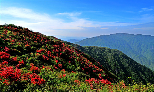 龙游县人口_浙江衢州人口最多的五个县区:第一名是江山