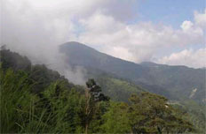 李栋山
