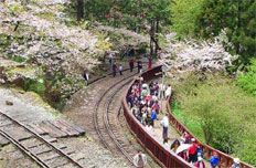 阿里山
