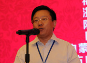 国际旅游投资协会副会长、巅峰智业首席顾问刘锋