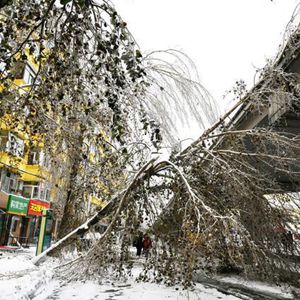 冻雨雨夹雪道路结冰我国最北省迎战暴雪天气