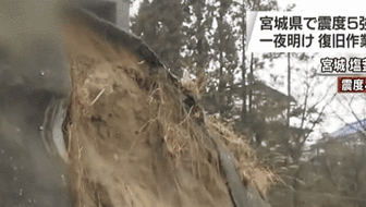 日本：宮城縣附近海域發生6.9級地震