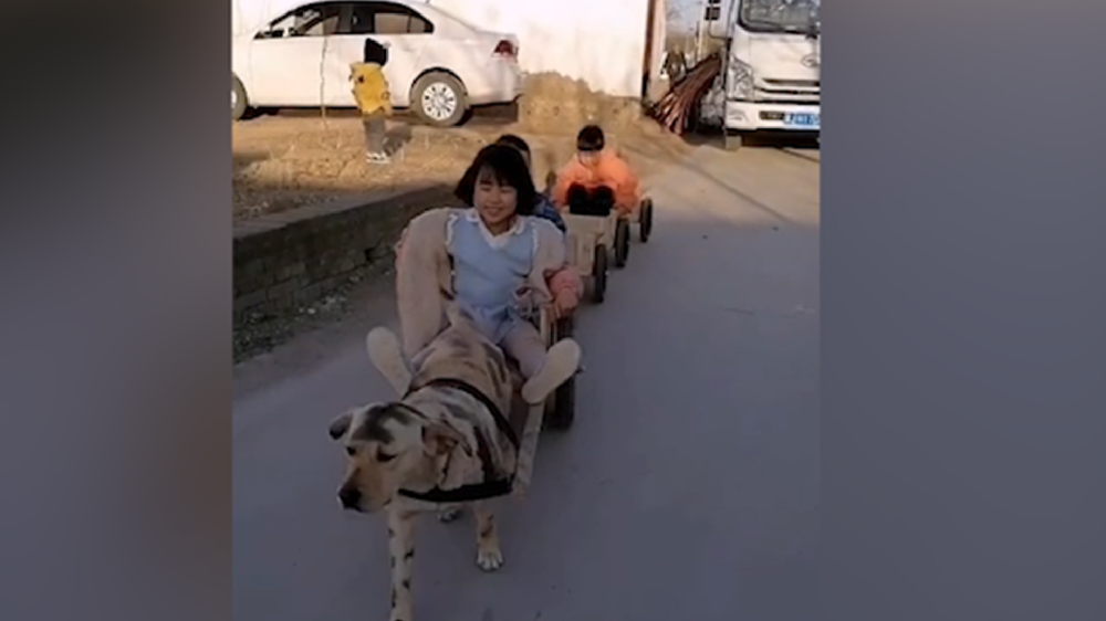 男子給孩子做縮小版小火車，家裏的狗狗做動力拉著孩子上學