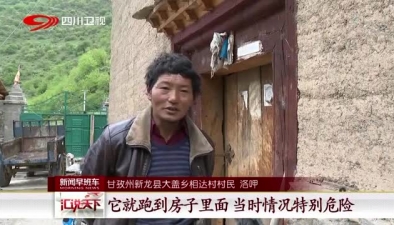 甘孜州新龙县:村里来了金钱豹