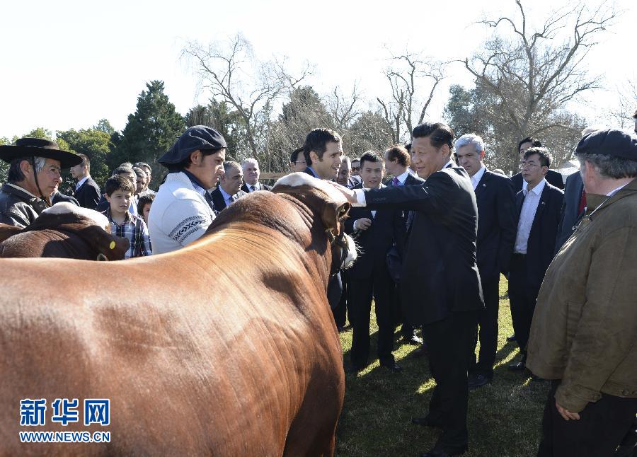 当地时间7月19日，正在对阿根廷进行国事访问的国家主席习近平参观共和国庄园，考察阿根廷农牧业，了解阿根廷农牧民文化特色。新华社记者马占成摄 