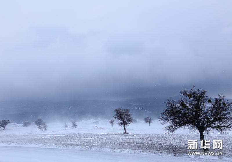 暴风雪"冰封"土耳其大部(高清组图)