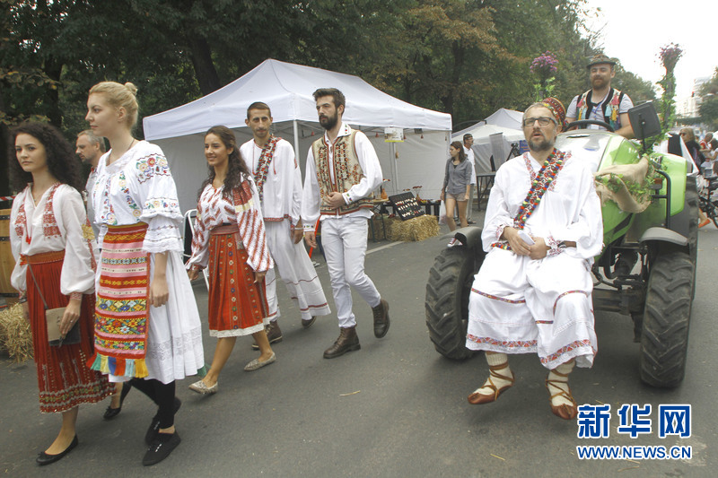罗马尼亚举行第二届乡村节(高清组图)