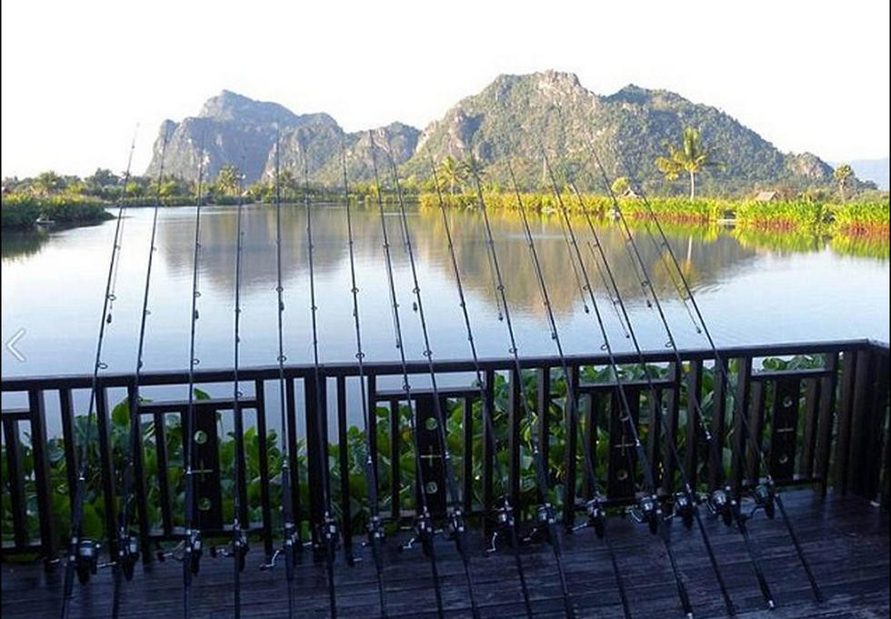 泰国天然湖泊盛产巨型鲤鱼 重达200斤