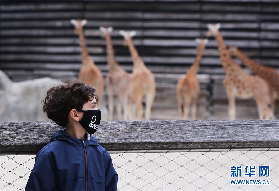 （國際疫情）（1）法國巴黎動物園重新開放