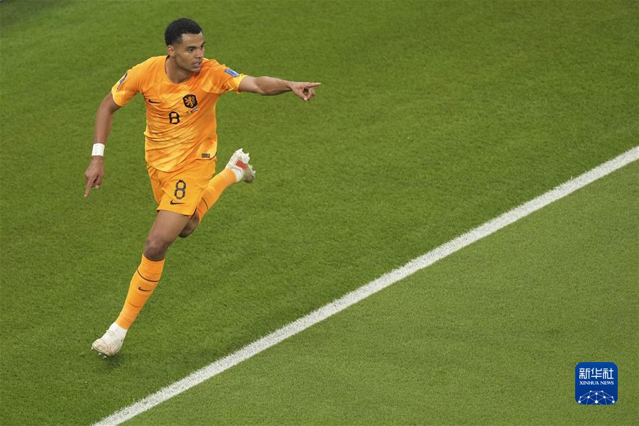 卡塔尔世界杯足球a组荷兰战胜塞内加尔