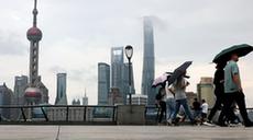 上海進入梅雨期
