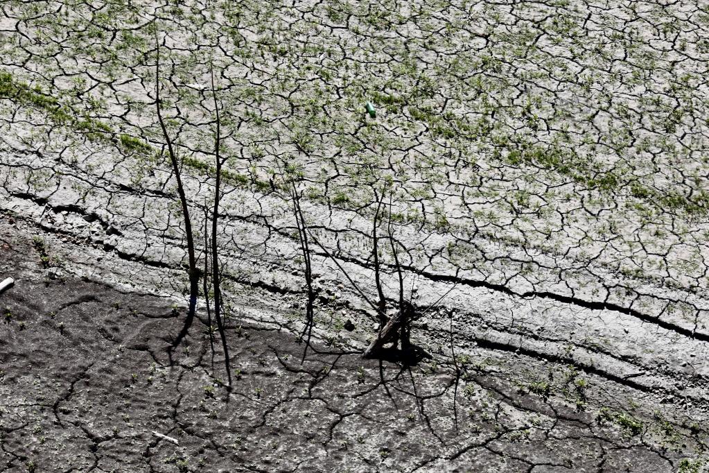 美國加州遭遇嚴重旱災