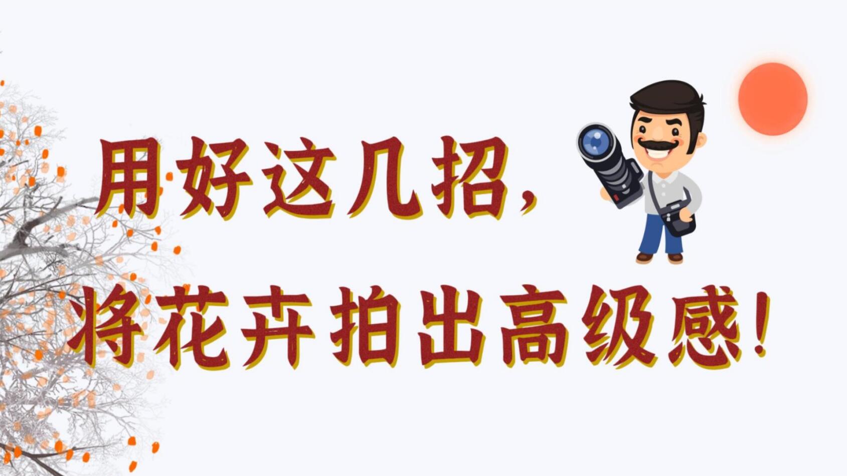 【光影轻课堂】用好这几招,将花卉拍出高级感!